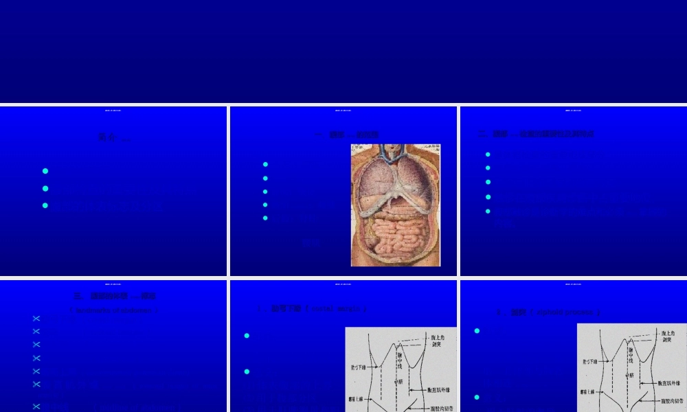2022年医学专题—腹部PPT2(1).ppt