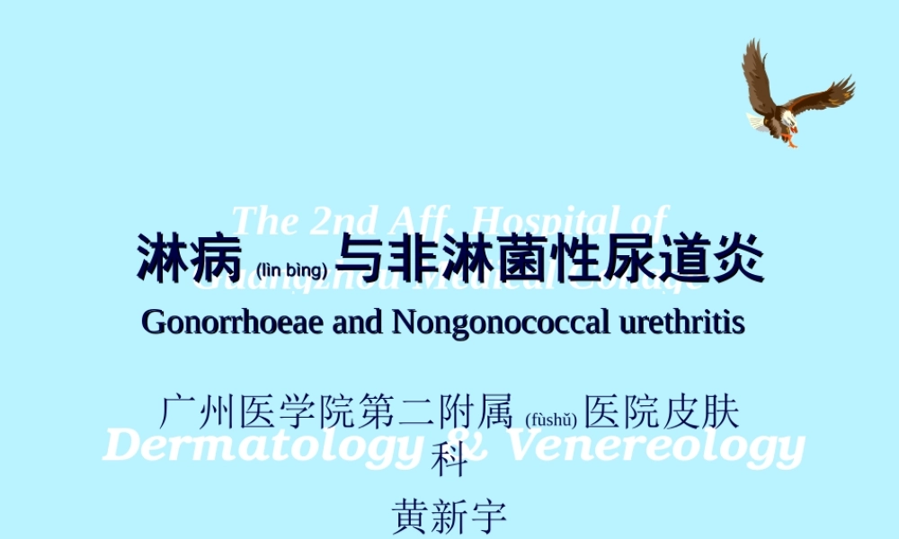 2022年医学专题—淋病与非淋菌性尿道炎(1).ppt