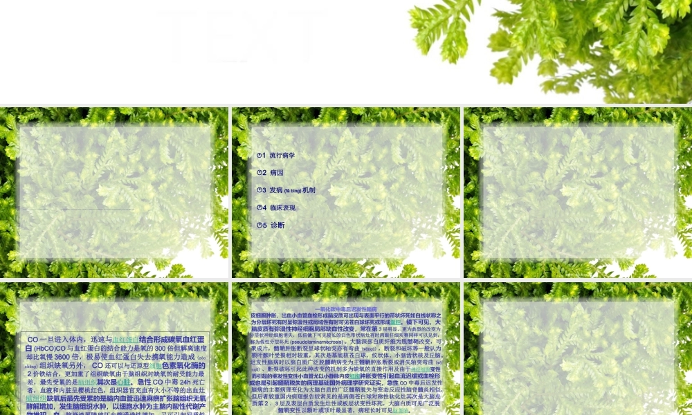 2022年医学专题—一氧化碳中毒后迟发性脑病详解(1).ppt