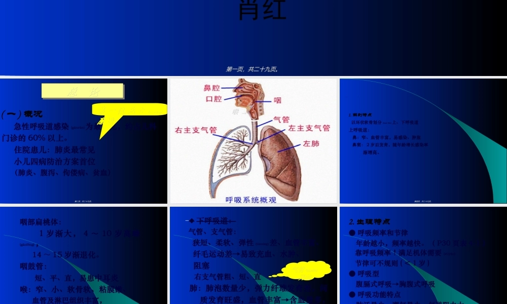 2022年医学专题—上感、支炎、热性惊厥(1).ppt