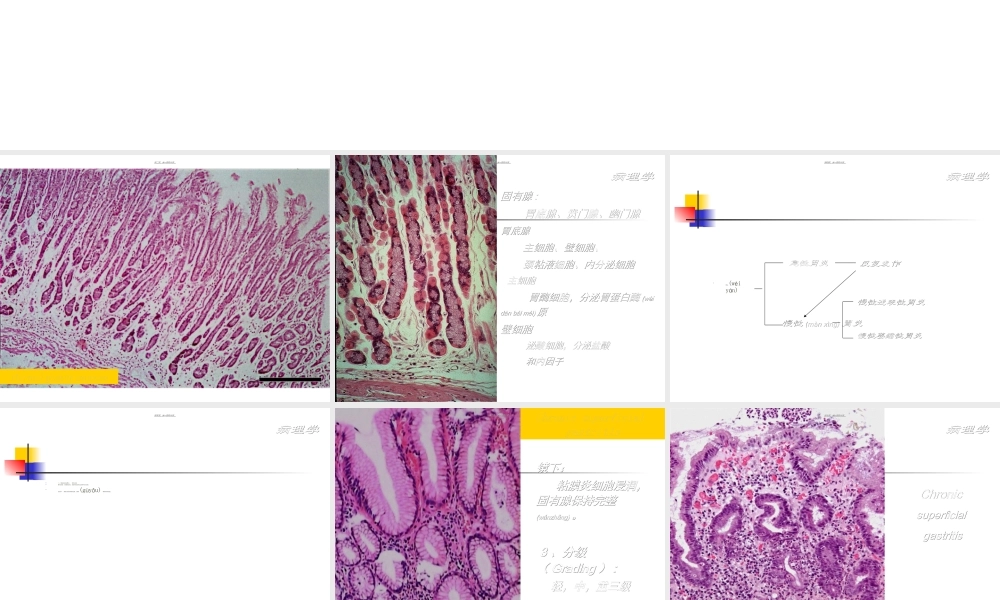 2022年医学专题—中西医结合消化系统(1).ppt
