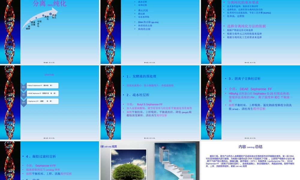 2022年医学专题—乙肝疫苗的制备(1).ppt