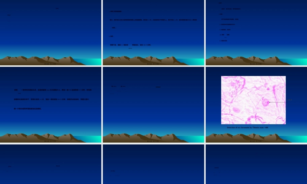 2022年医学专题—人体X—染色质的观察(1).ppt
