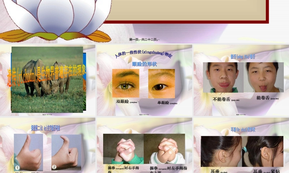 2022年医学专题—人体的性状和遗传现象(1).ppt