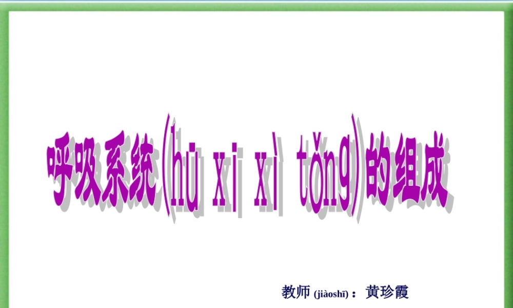 2022年医学专题—人体的呼吸PPT(1).ppt