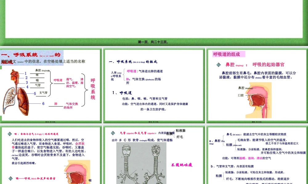 2022年医学专题—人体的呼吸PPT(1).ppt