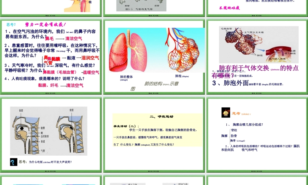 2022年医学专题—人体的呼吸PPT(1).ppt