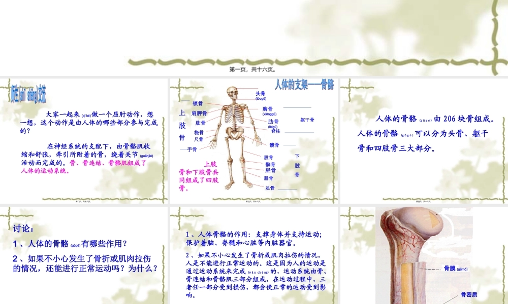 2022年医学专题—人体的支持与运动(1).ppt