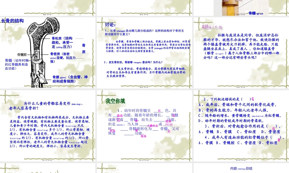 2022年医学专题—人体的支持与运动(1).ppt