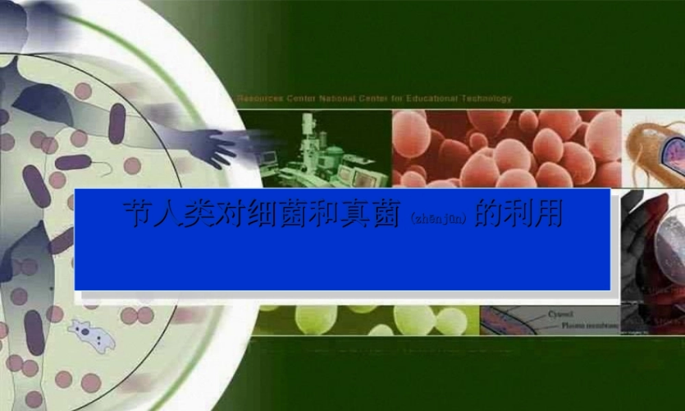 2022年医学专题—人类对细菌和真菌的利用ppt2(1).ppt
