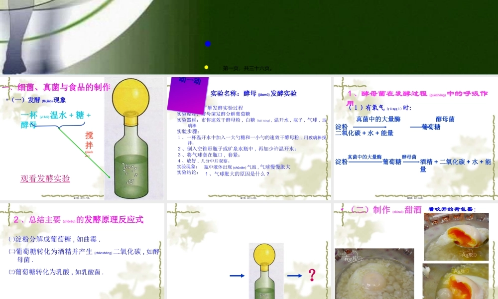 2022年医学专题—人类对细菌和真菌的利用ppt2(1).ppt