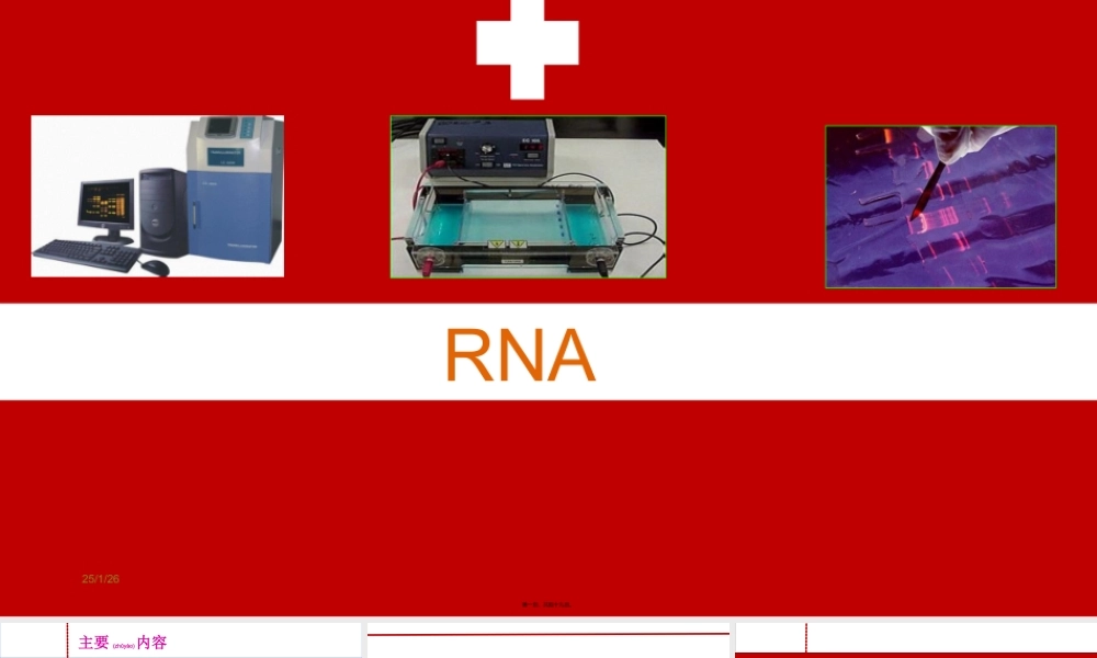 2022年医学专题—人类细胞质RNA提取RTPCR的原理方法琼脂糖凝胶电泳结果分析及其应用分析(1).ppt