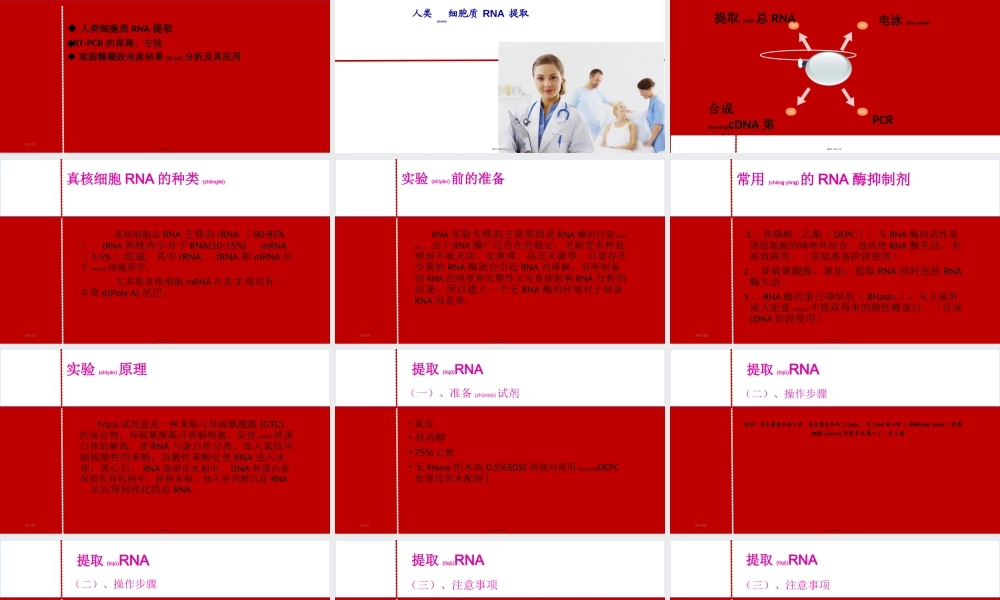 2022年医学专题—人类细胞质RNA提取RTPCR的原理方法琼脂糖凝胶电泳结果分析及其应用分析(1).ppt