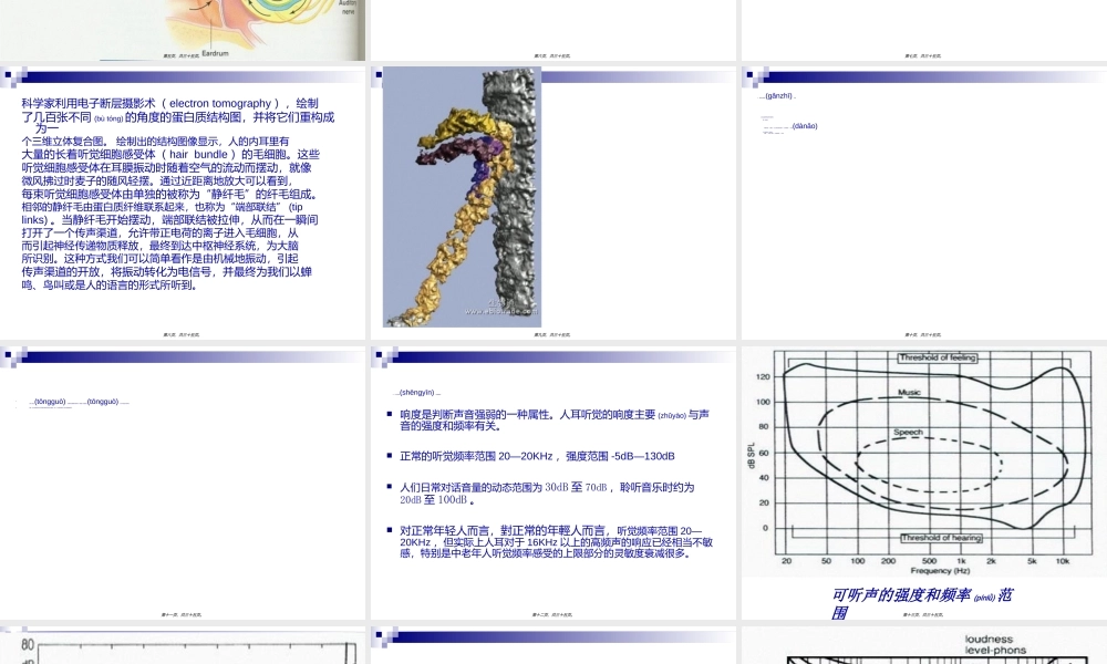 2022年医学专题—人耳听觉特性(精)(1).ppt