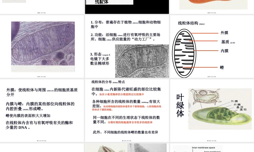 2022年医学专题—使线粒体与周围的细胞质基质分开内膜与嵴(1).ppt