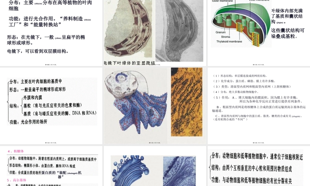 2022年医学专题—使线粒体与周围的细胞质基质分开内膜与嵴(1).ppt