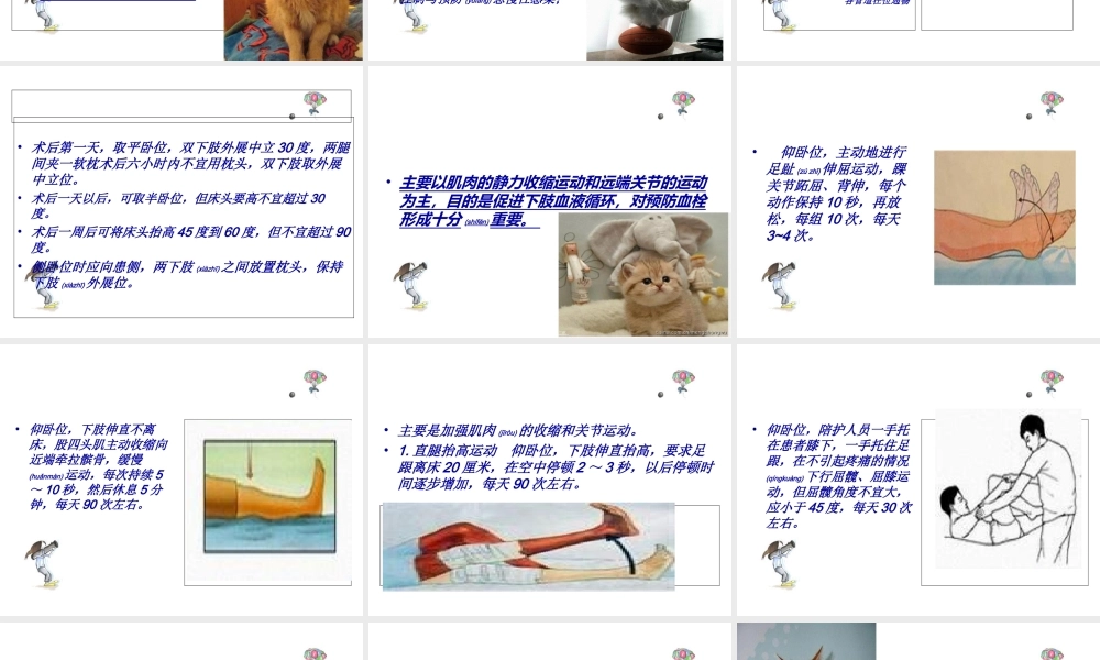 2022年医学专题—全髋关节置换术后的功能锻炼(1).ppt