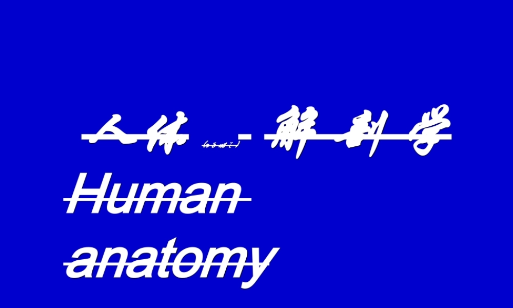 2022年医学专题—内脏总论、消化管(1).ppt