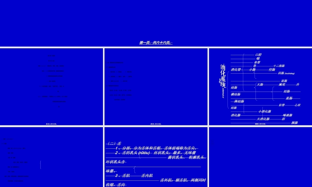 2022年医学专题—内脏总论、消化管(1).ppt