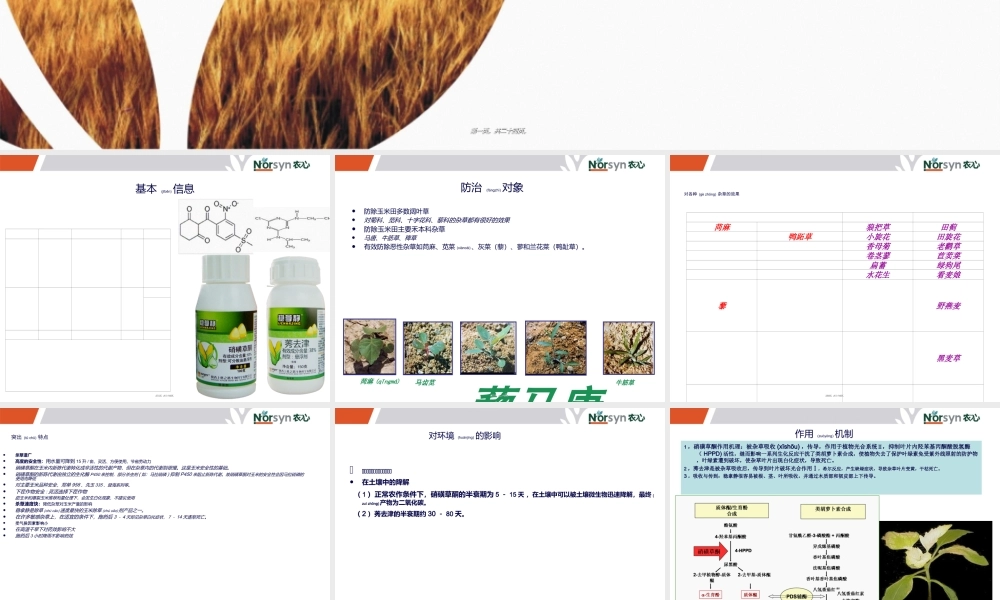 2022年医学专题—农药杀虫剂杀菌剂除草剂作用机理使用技术及病虫害防治(1).ppt