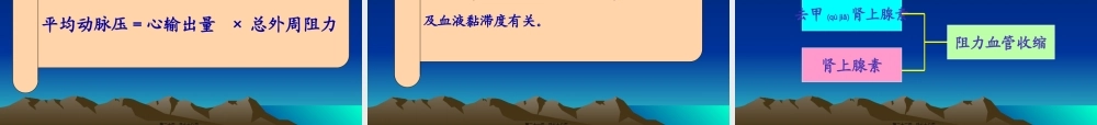 2022年医学专题—原发性高血压的发病机制(1).ppt
