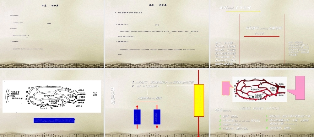 2022年医学专题—外科休克(1)(1).ppt