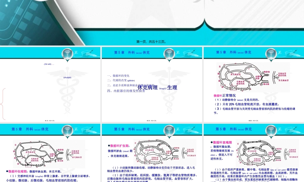 2022年医学专题—外科休克(2).ppt