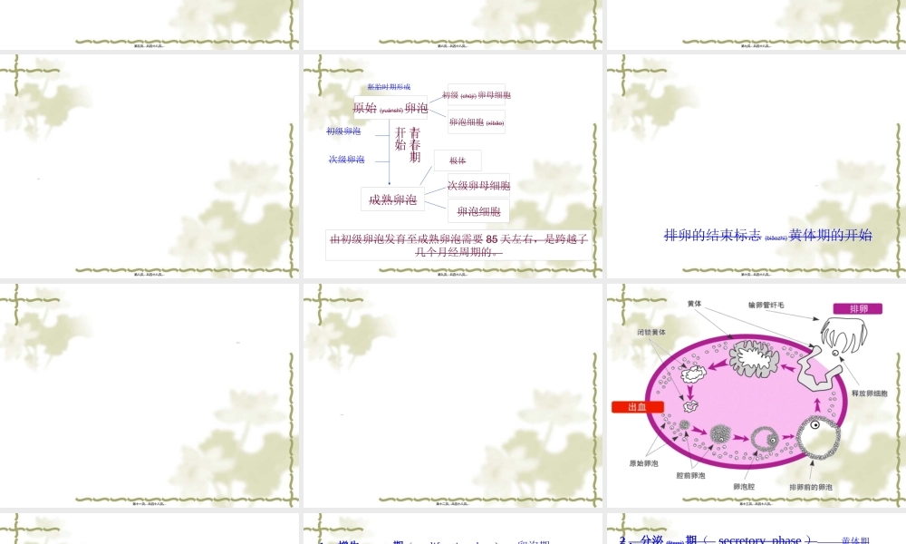 2022年医学专题—女性生殖周期及内分泌(1).ppt
