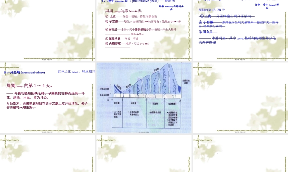 2022年医学专题—女性生殖周期及内分泌(1).ppt