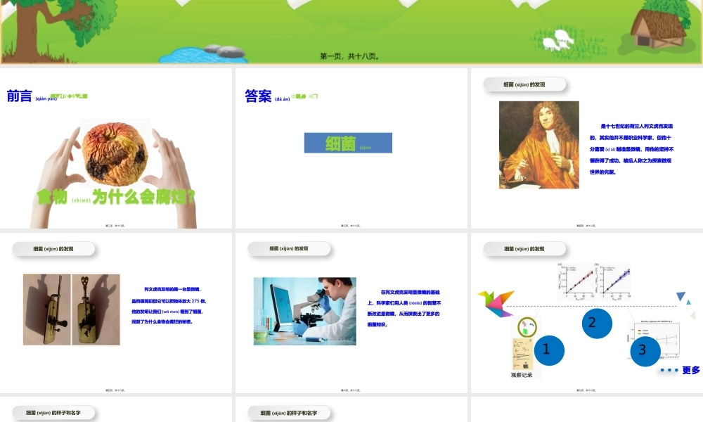 2022年医学专题—小队活动之《神奇的细菌》(1).pptx