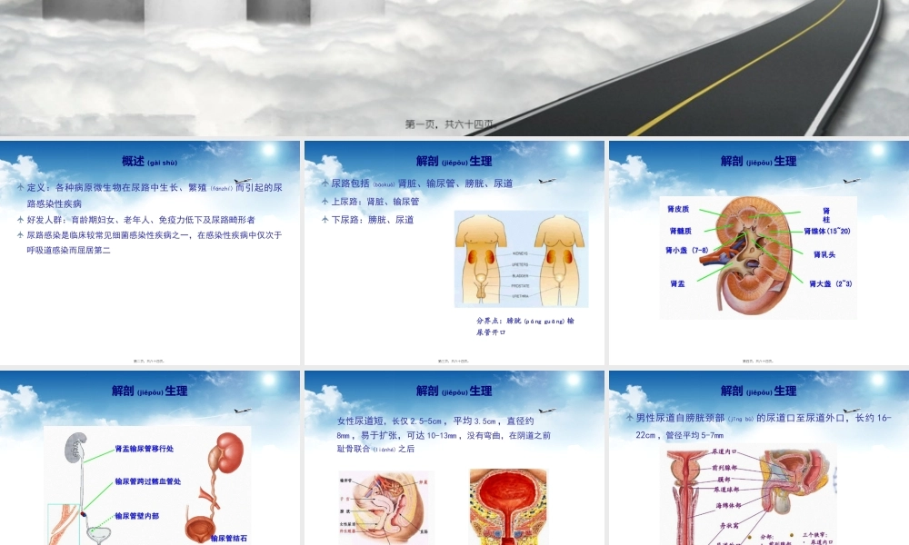 2022年医学专题—尿路感染及诊疗指南(1).pptx