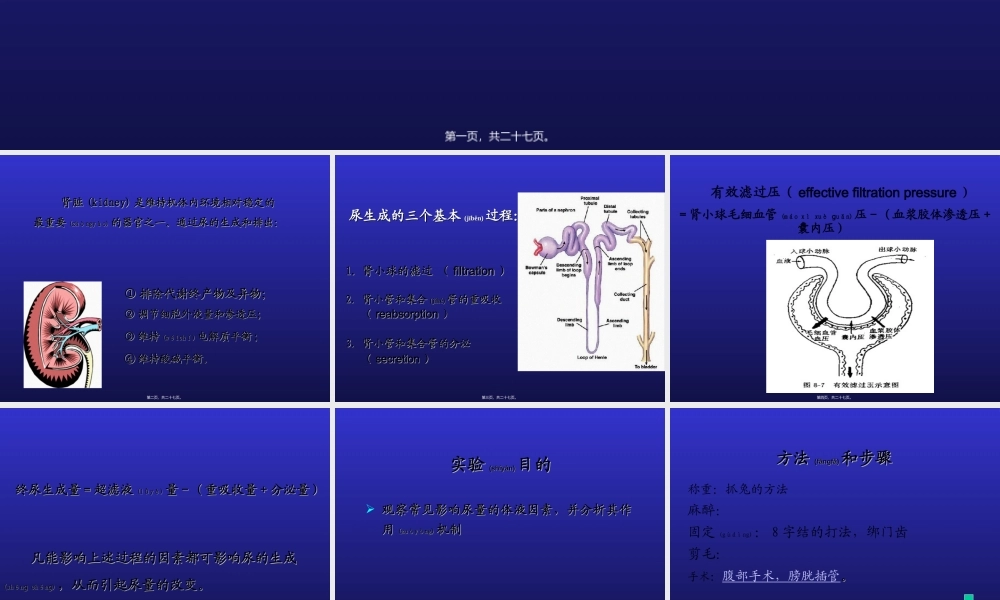 2022年医学专题—影响尿生成因素(1).ppt