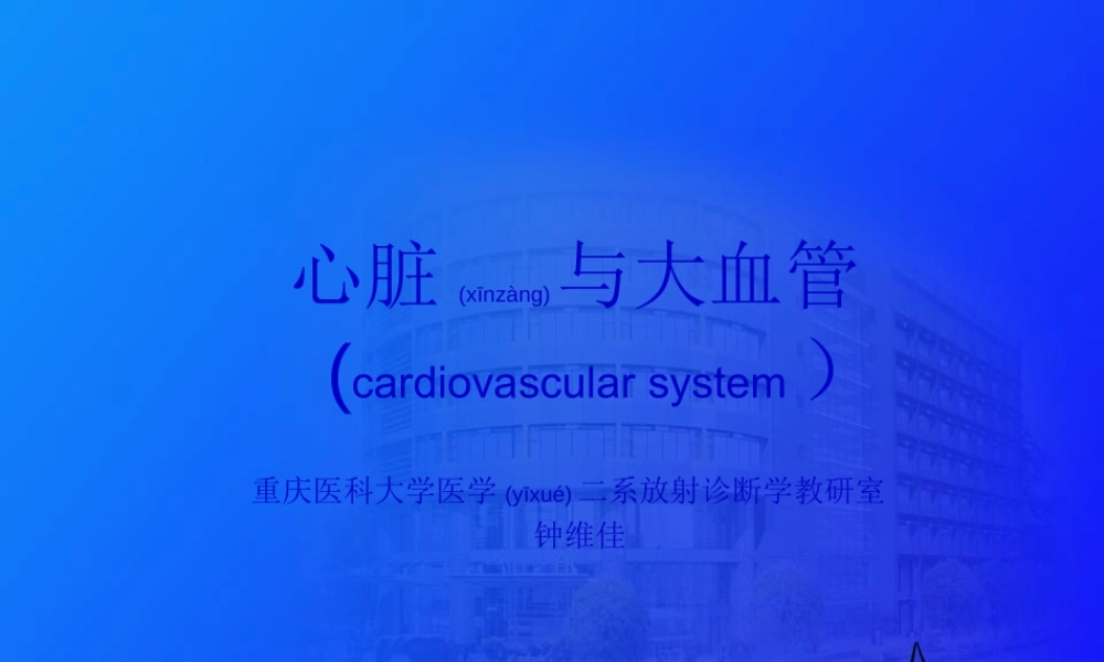 2022年医学专题—心脏与大血管ppt(1).ppt