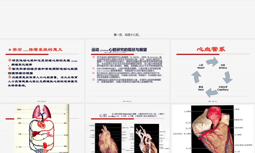 2022年医学专题—心脏的基本结构-4课时(1).ppt