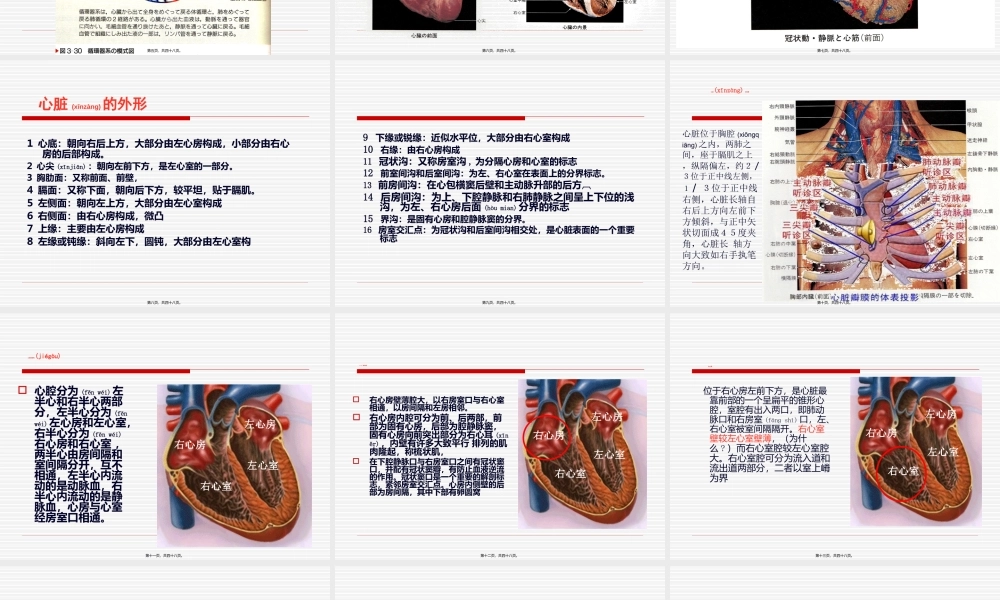 2022年医学专题—心脏的基本结构-4课时(1).ppt