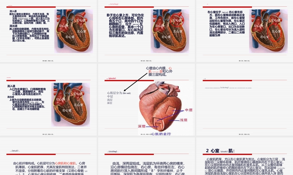 2022年医学专题—心脏的基本结构-4课时(1).ppt