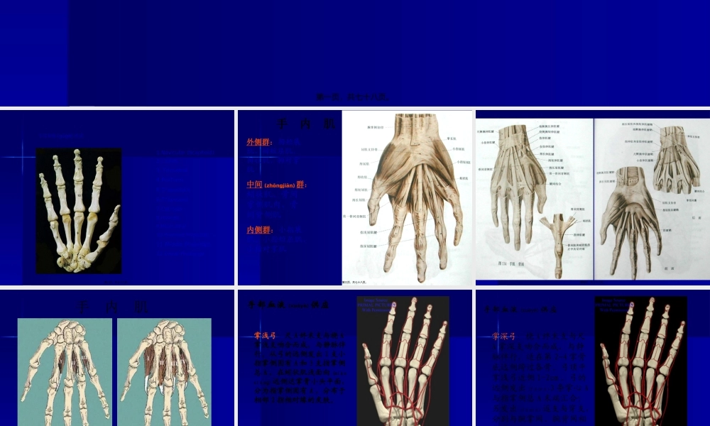 2022年医学专题—手外伤及断肢(指)再植(1).ppt