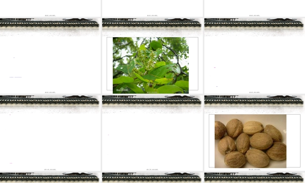 2022年医学专题—收涩药与收涩方剖析(1).ppt