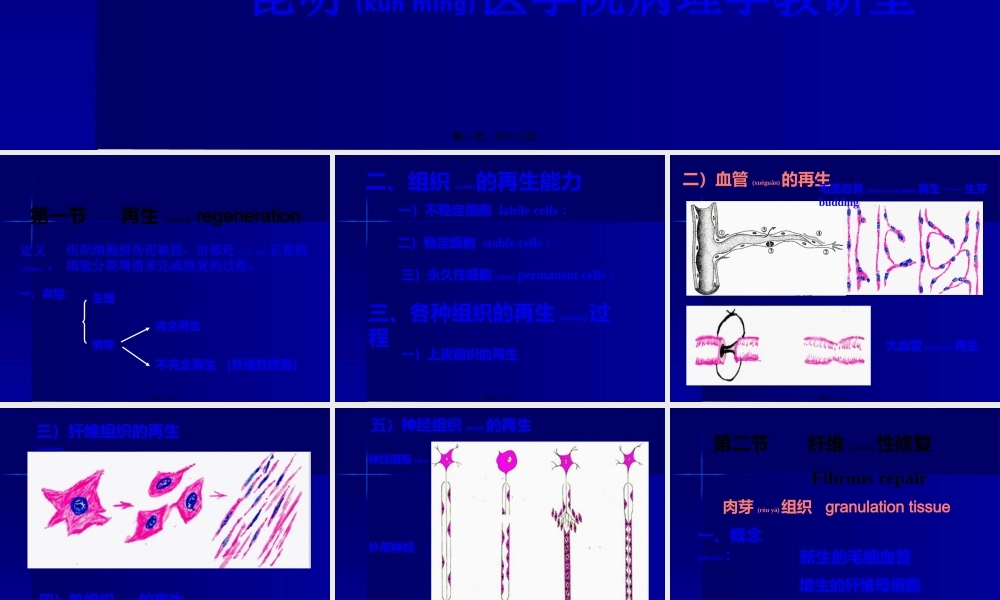 2022年医学专题—新生的毛细血管增生的纤维母细胞一定量的炎性细胞肉芽组织的结构(1).ppt