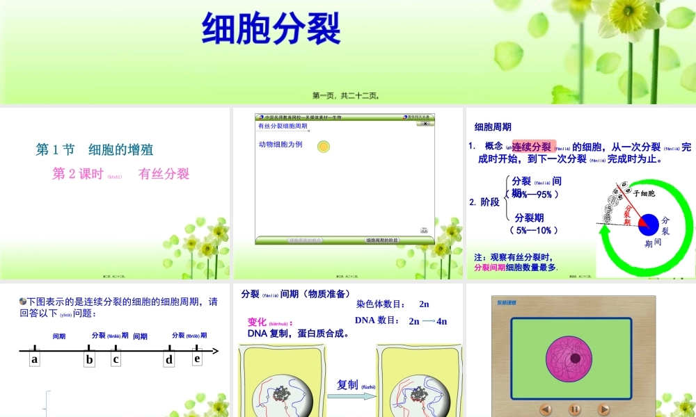 2022年医学专题—植物细胞有丝分裂(附动画)(1).ppt