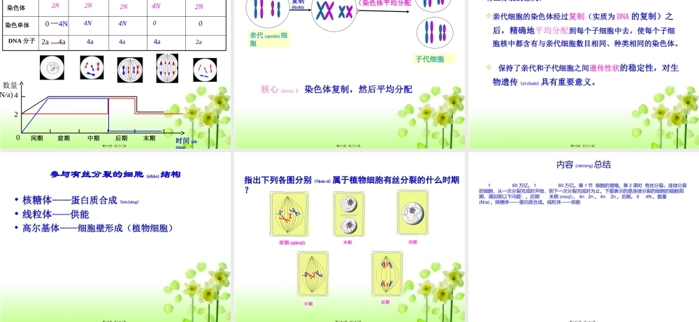 2022年医学专题—植物细胞有丝分裂(附动画)(1).ppt