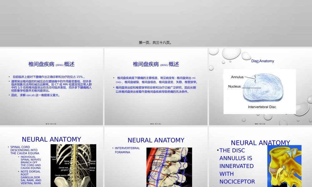 2022年医学专题—椎间盘源性下腰痛诊治(1).pptx