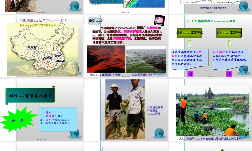 2022年医学专题—水体富营养化、水体自净(1).pptx