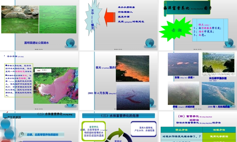 2022年医学专题—水体富营养化、水体自净(1).pptx