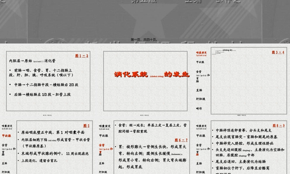 2022年医学专题—消化系统和呼吸系统的发生(1).ppt