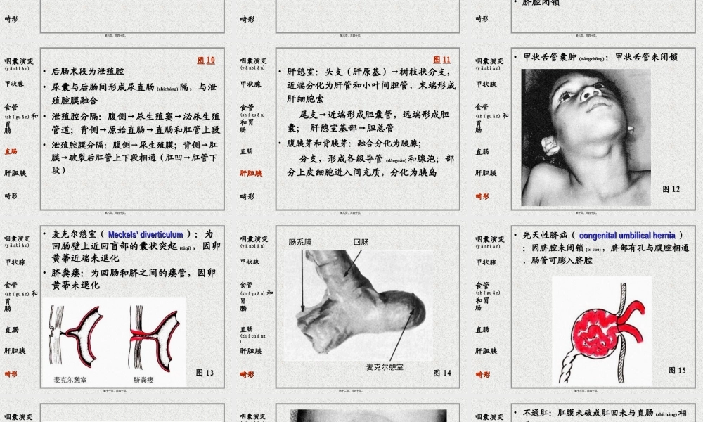 2022年医学专题—消化系统和呼吸系统的发生(1).ppt