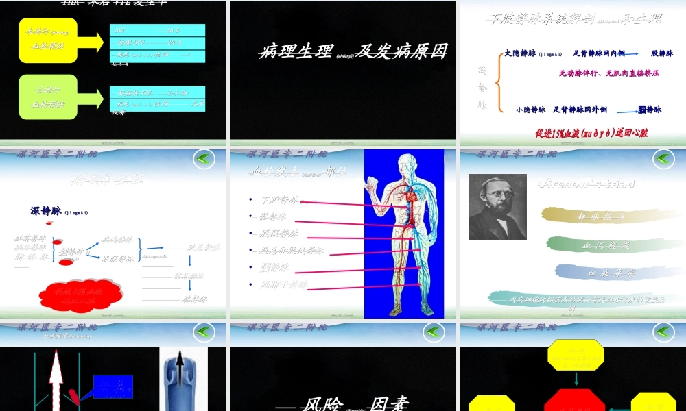 2022年医学专题—深静脉血栓干预策略(1).ppt