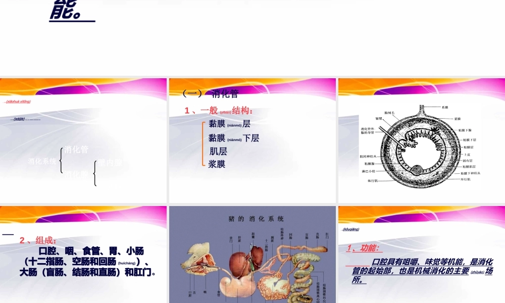 2022年医学专题—猪的内脏消化系统(1).ppt