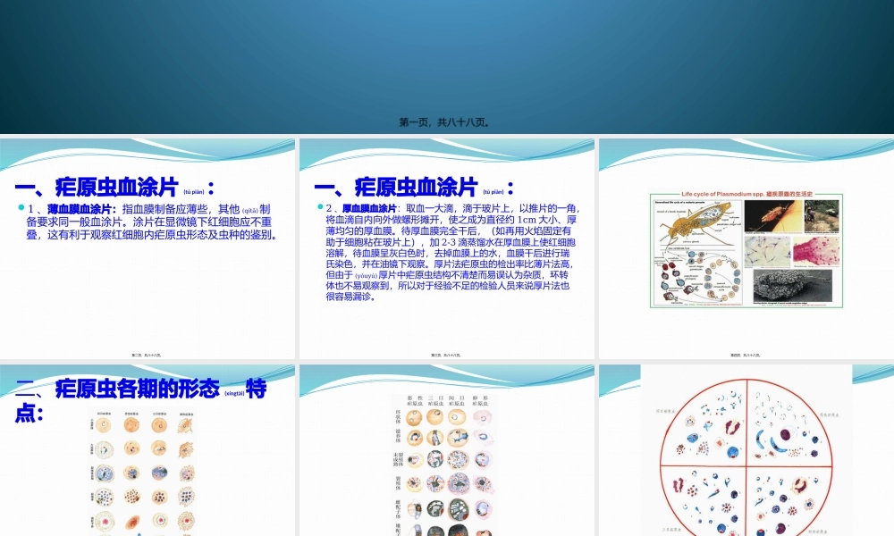 2022年医学专题—疟原虫血涂片及形态识别(1).pptx