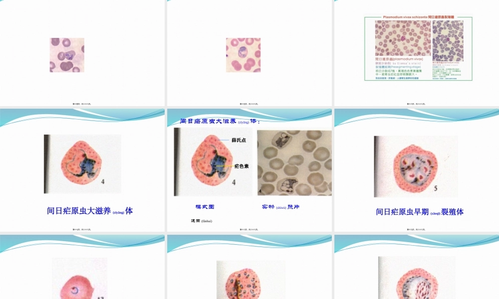 2022年医学专题—疟原虫血涂片及形态识别(1).pptx